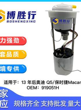 适用于奥迪q5/保时捷Macan燃油泵总成汽油泵芯8R0919051E