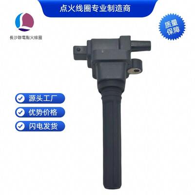 483Q-18100 M01G3612011 TT11E HAMGM12点火线圈适用于海马
