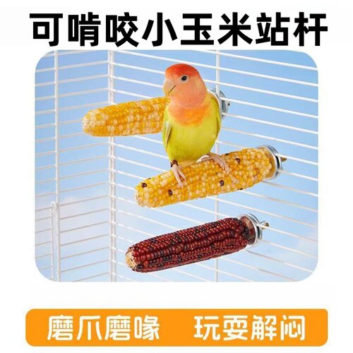【天然小玉米磨牙站杆】