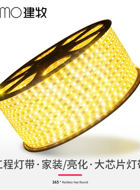 led灯带220v三色变光家用客厅吊顶长条变色rgb灯条户外防水软灯条