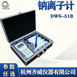 51B钠离子计氟钠浓度计氯氟钙钾多参数离子计 齐威钠度计DWS