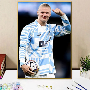 足球明星人物哈兰德周边diy数字油画手工填色画画房间卧室装饰画