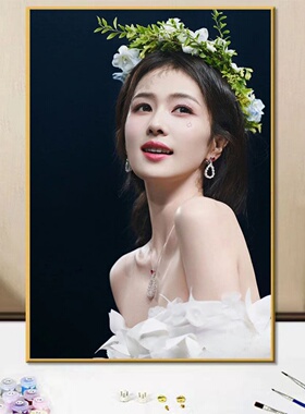 DIY数字油画高颜值女星白鹿周边手工手绘填色涂鸦画卧室床头挂画