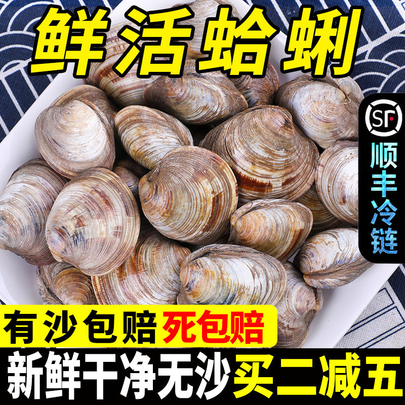 蛤蜊花甲鲜活海鲜水产野生无沙大黄蚬子美贝花蛤文蛤5斤顺丰包邮|ruв категории водной мясо/свежие фрукты и овощи/еда, морепродукты/водные продукты/изделия, моллюски, моллюсков изделия - от Buy2taobao.com для оказания профессиональной услуги покупки агента Taobao