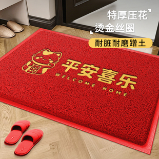 丝圈地垫入户门进门脚垫子玄关出入平安门垫室外防滑耐脏免洗地毯
