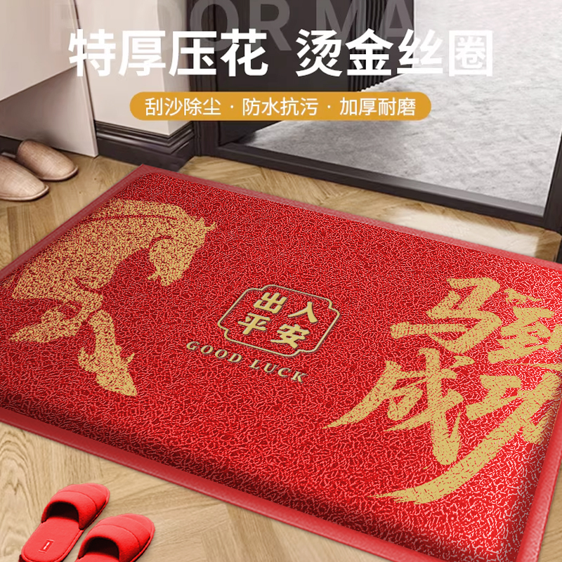 出入平安丝圈地垫入户门玄关脚垫