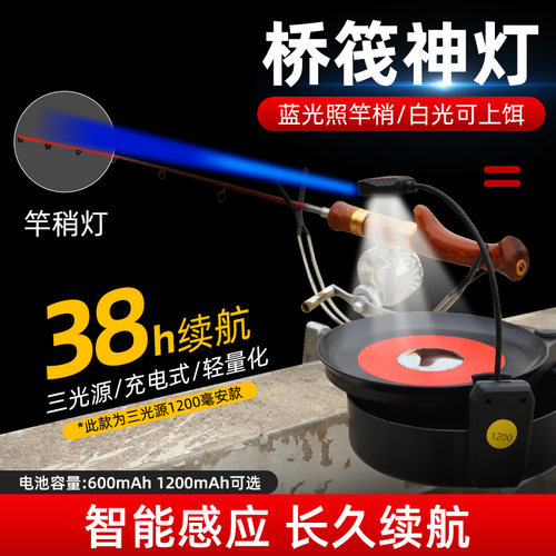 感应桥筏灯筏钓灯竿稍灯