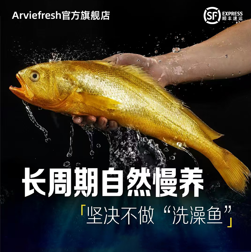 新鲜冷冻海鱼深海养殖大黄鱼