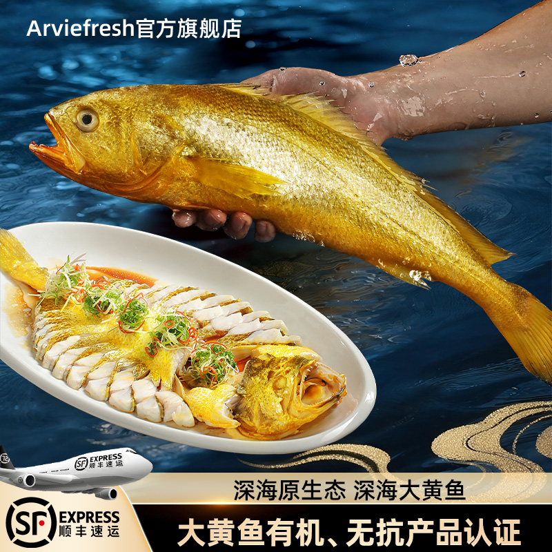 新鲜冷冻海鱼深海养殖大黄鱼