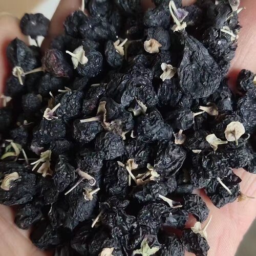 黑枸杞500g青海黑果狗纪子