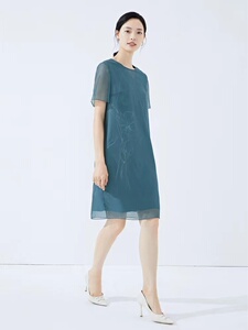 娜尔思水光欧根纱素雅印花叠透薄纱连衣裙夏新款宽松裙NF06414M1