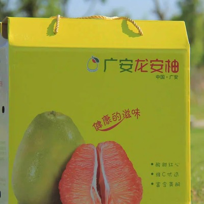 广安柚相见4个包邮龙安柚母本园40年以上老柚树一级新鲜红心柚