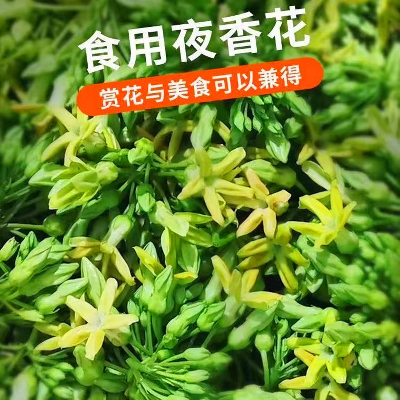 夜兰花图片食用,食用夜香花图片(第4页)_大山谷图库