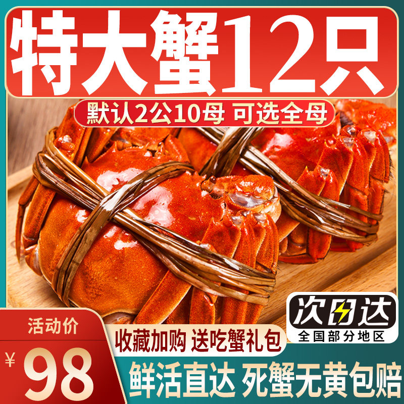 【活蟹】12只大闸蟹鲜活公全母特大现货海鲜水产河蟹红膏螃蟹礼盒使用感如何?