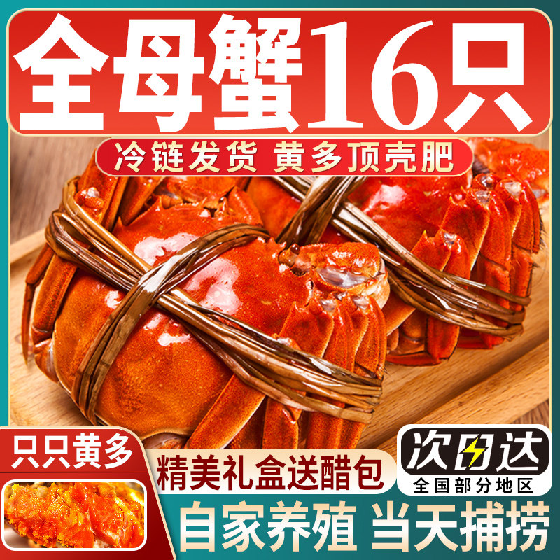 鲜活全母大闸蟹中秋送礼包邮图片