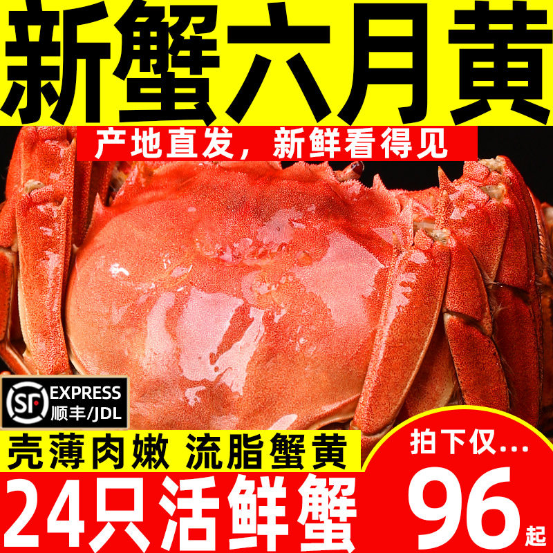 【活蟹】24只鲜活螃蟹大闸蟹现货六月黄蟹特大蟹湖蟹送礼含绳河蟹