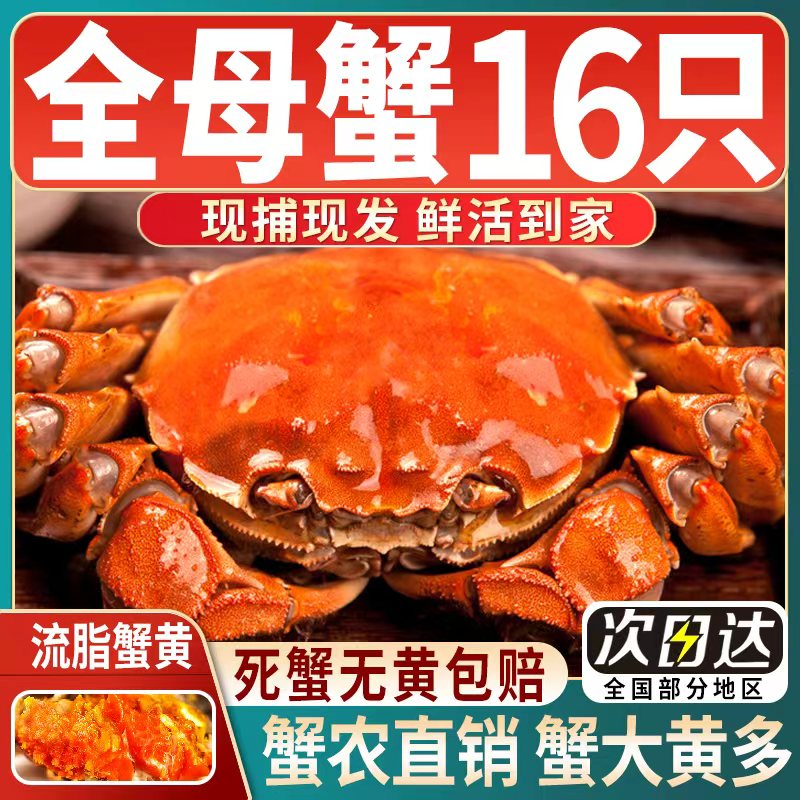 江苏清水大闸蟹16只礼盒装