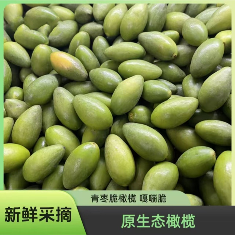 潮汕特产新鲜现摘青枣脆橄榄檀香