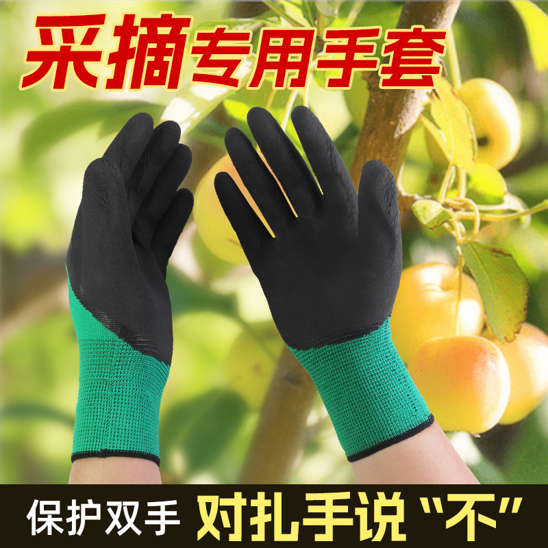 摘花椒专用防扎手套防护神器