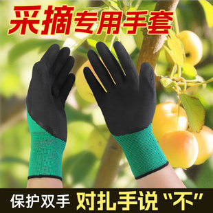 摘花椒防扎刺手套加厚耐磨园艺拔草种地采花修剪择菜酸枣专用防护