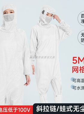 百级净化带口罩蛙式防尘服
