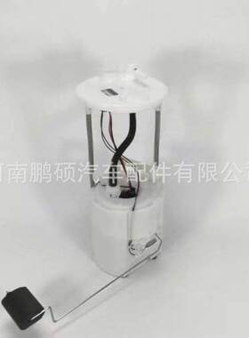 31110-A0000 31110-C9000 9017396 13503672适用于现代燃油泵总成