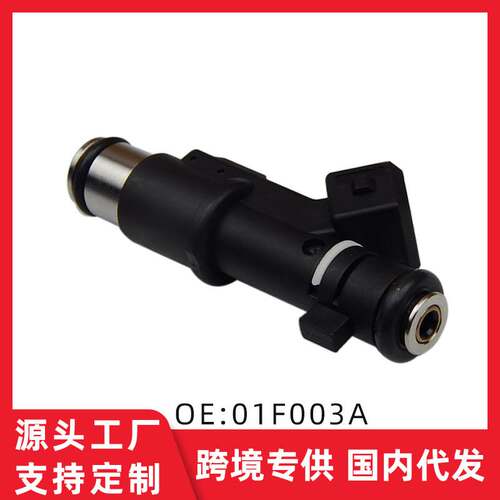 适用标致老307/毕加索/塞纳2.0L 燃油喷射器喷油嘴1984E2 01F003A
