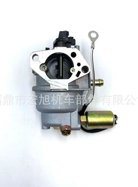 MTD 951-05149 HY-4P90F CC760ES TB30 TB30R草坪机割草机化油器