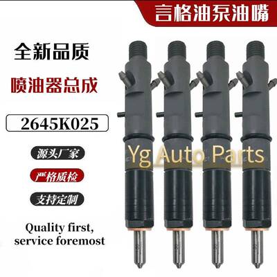 2645K025 4226665M91 柴油共轨喷油器电喷喷油嘴 油嘴适用于帕金