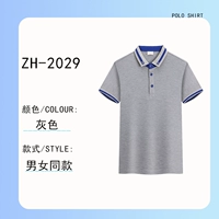 ZH-2029-Gray