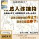jpg原理与绘画教学电子版 人体结构教程图片参考动态素材资料 pdf