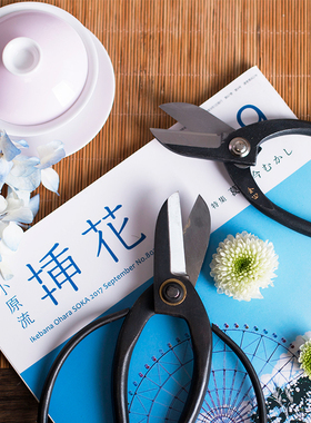 花剪插花花艺园艺剪刀剪花枝盆景修枝花艺师专用工具叶芽修剪日本