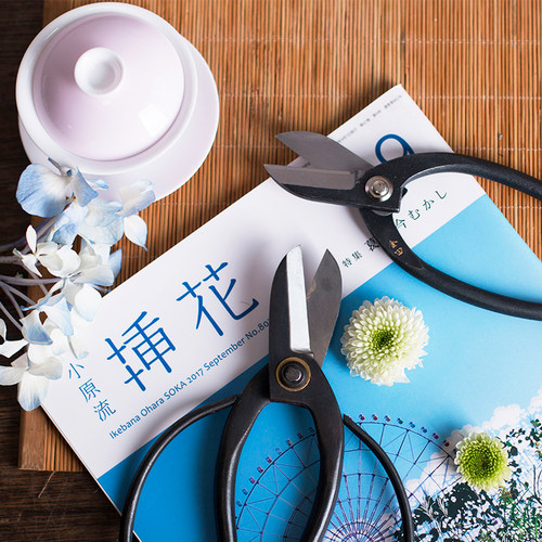 插花修枝专用叶芽日本园艺剪刀