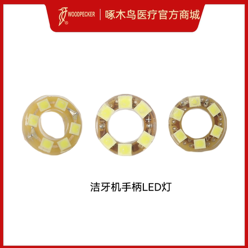 啄木鸟DTE洁牙机手柄LED灯正品原装