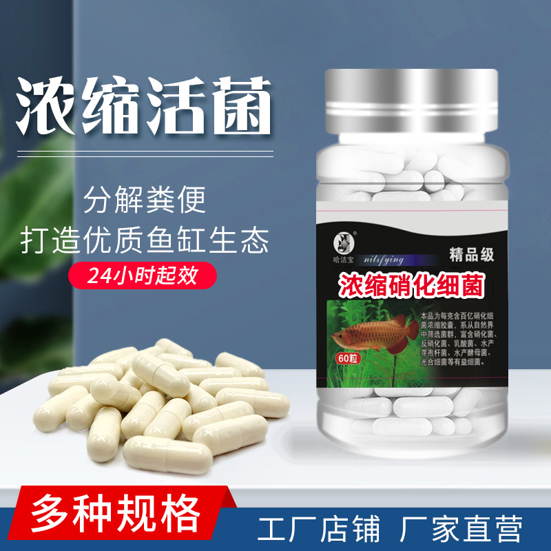 硝化细菌哈洁宝胶囊养鱼锦鲤