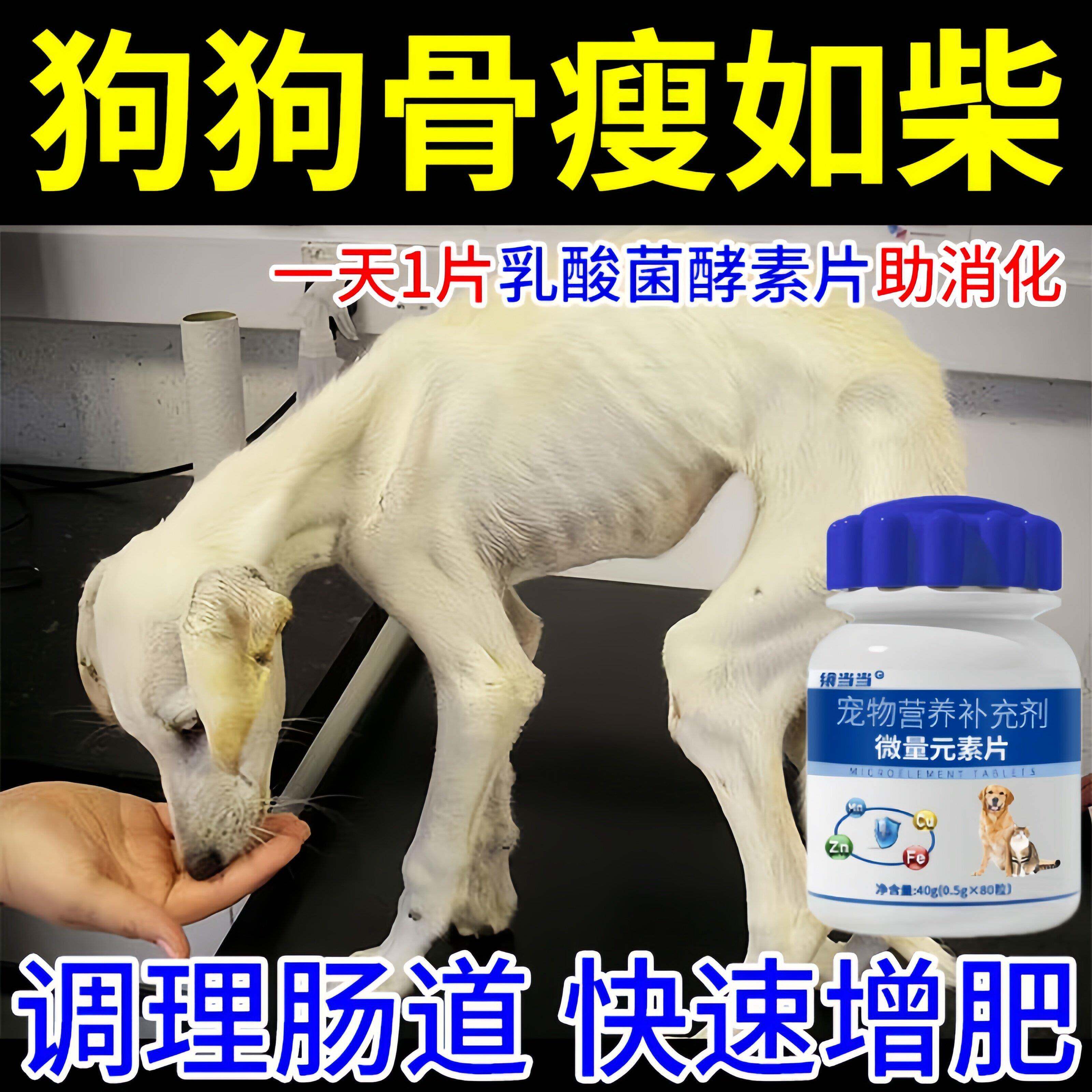 狗狗骨瘦如柴瘦狗增肥长肉不吃饭挑食厌食益生菌营养补充剂促食欲