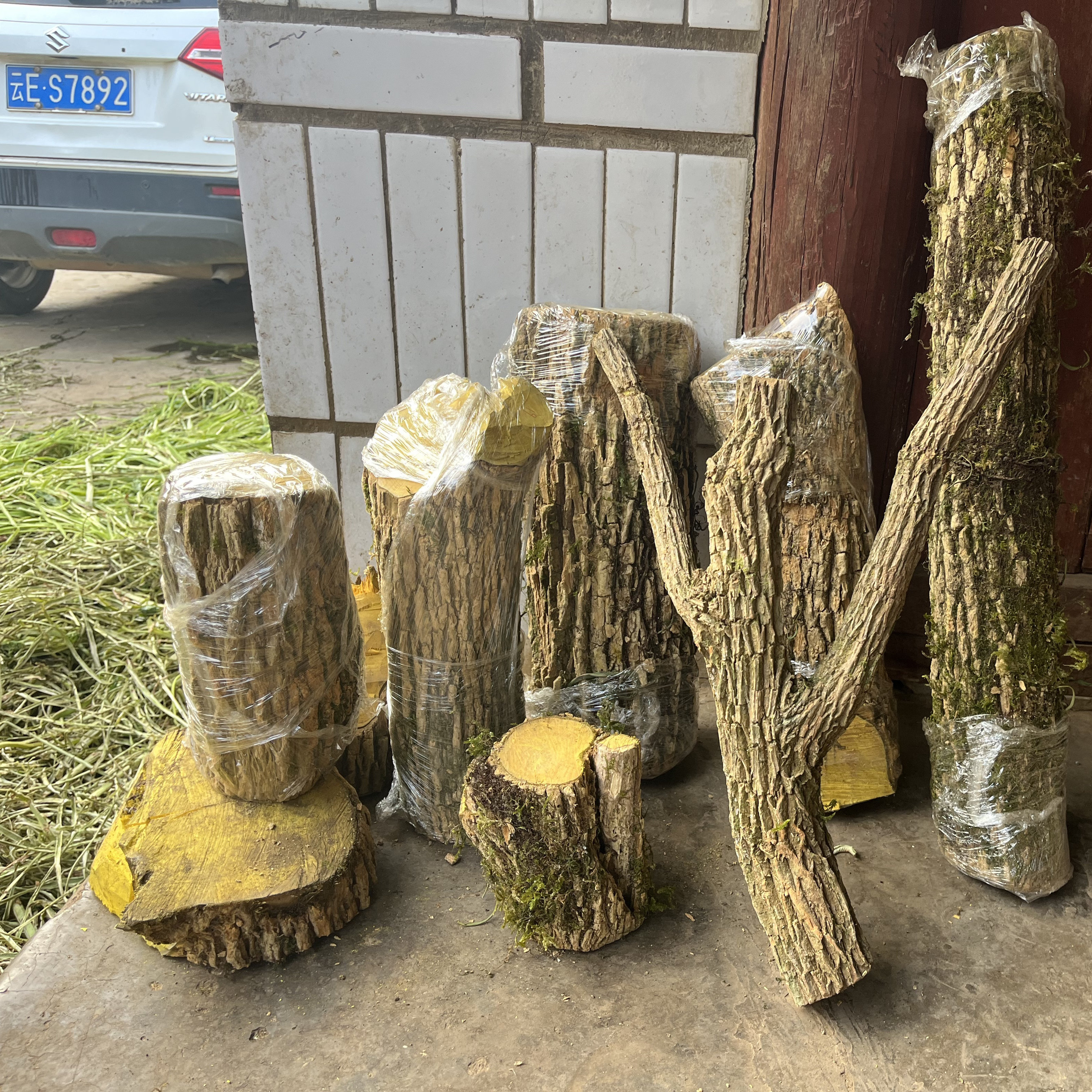 天然十大功劳有裂做药专用十大功劳刺黄柏功劳木
