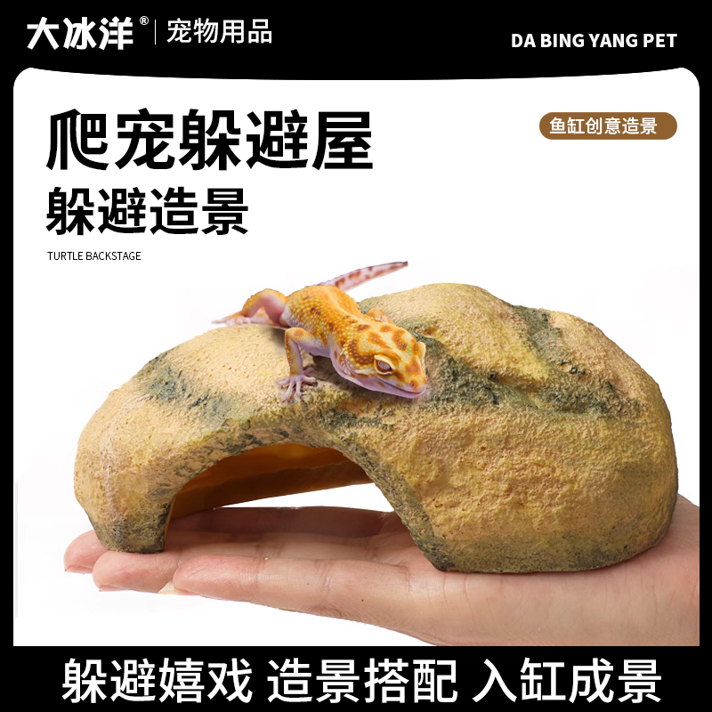 爬宠躲避洞穴乌龟晒台蜘蛛爬虫