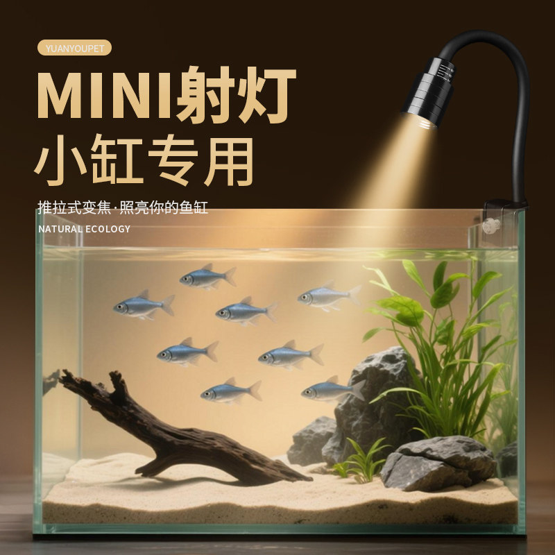 鱼缸灯led原生缸灯小缸变焦定时小型鱼缸南美射灯迷你造景水草灯