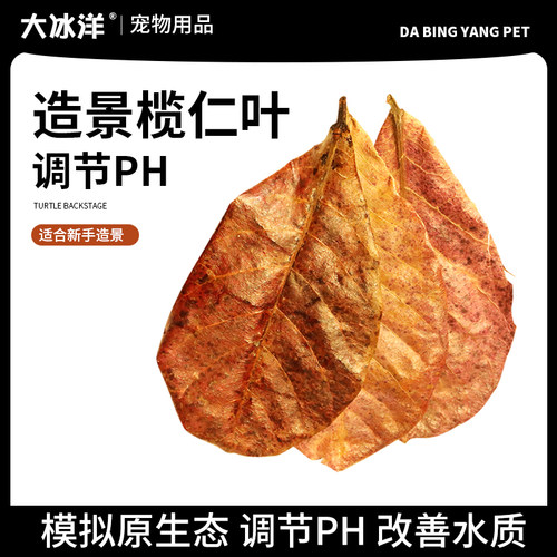 榄仁叶降酸调节Ph值水族橄榄叶