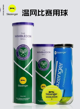 史莱辛格Slazenger网球温网比赛耐打有压铁罐3粒4粒装新款豹子球