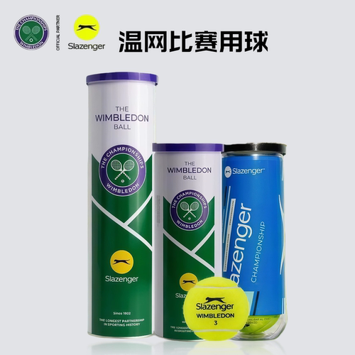 史莱辛格温网耐打铁罐豹子网球