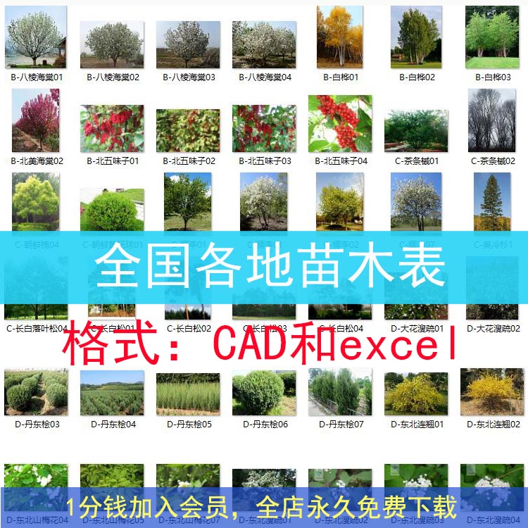全国各地苗木表cad苗木表excel苗木表全国苗木选型标准图苗木配置