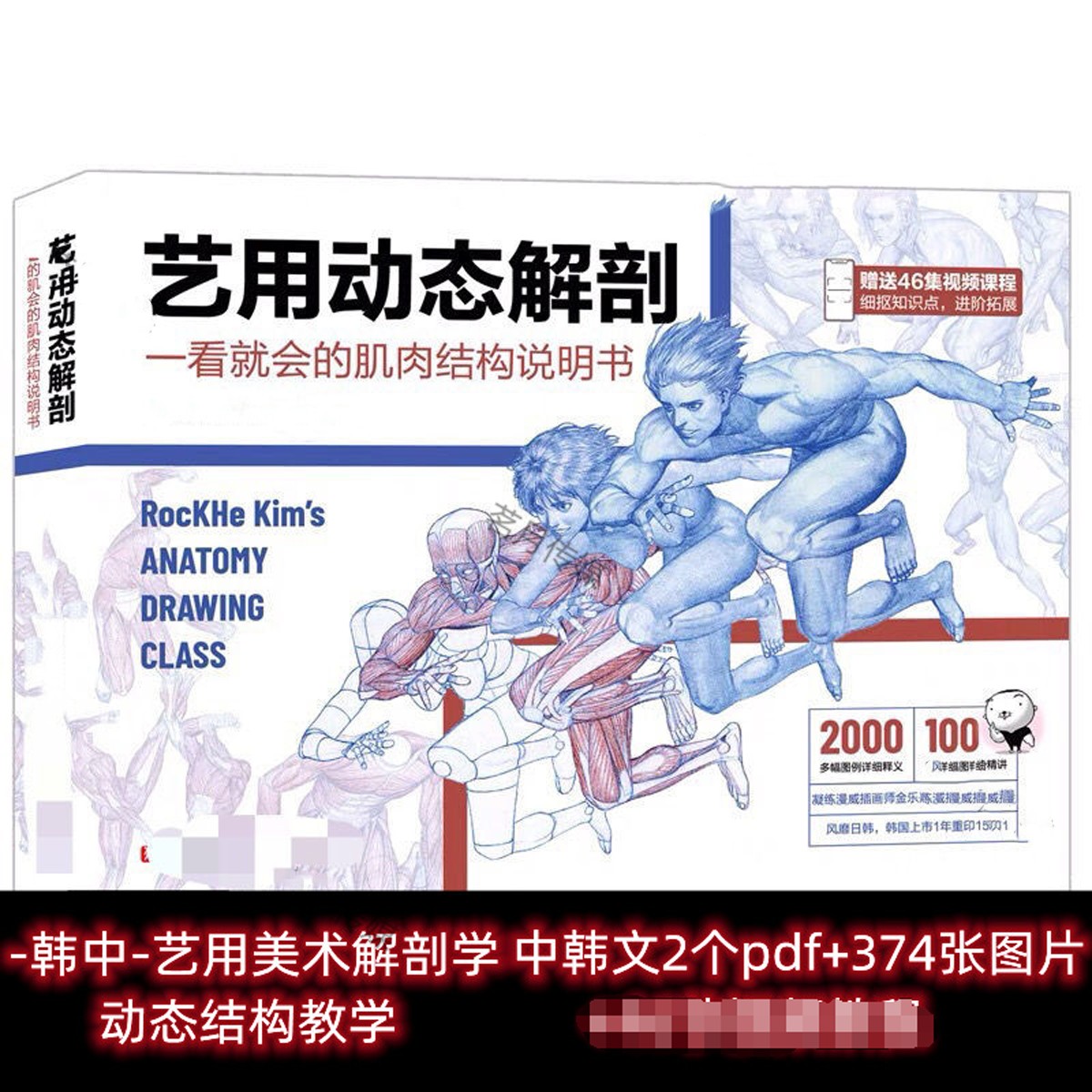 新RockHe Kim s 艺用美术人体动态解剖教学 CG参考素材中文版