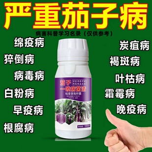 茄子病防治杀菌剂茄子通用药灰霉白粉炭疽枯萎黄萎病毒茄子通用药