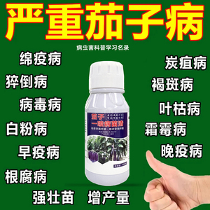 茄子病专用药叶斑病灰霉炭疽白粉枯萎根腐黄萎病病毒病微生物菌剂