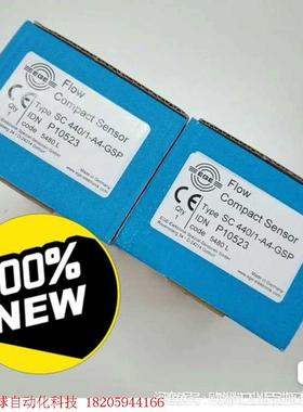 EGE德国原装进口 EGE 流量计SC440/1-A4-GS