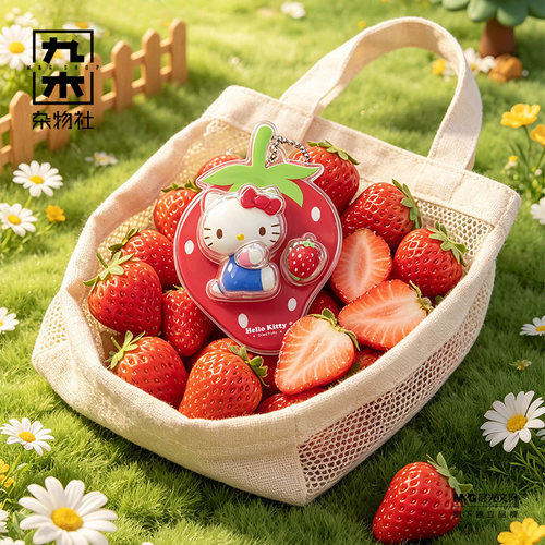 九木杂物社HELLO KITTY微缩吊卡甜果物语系列盲盒可爱周边挂件