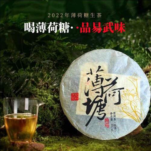薄荷塘普洱茶生茶2022年云南普洱春茶勐海古树生普茶饼老生茶357g