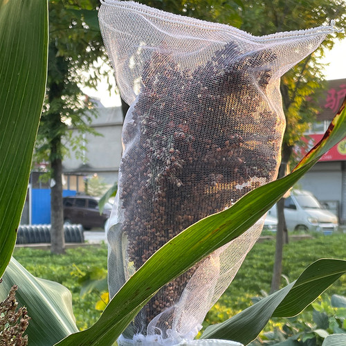 高粱防鸟网农用高粱防鸟吃专用网袋